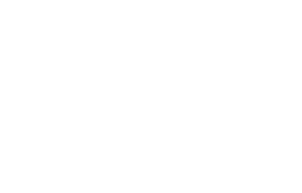 Ergon Energy